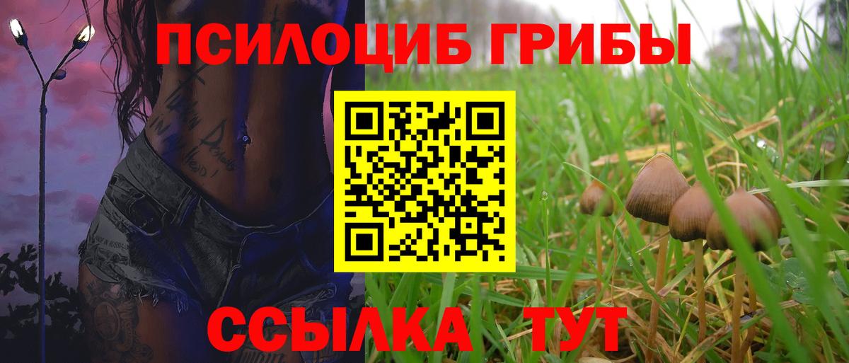Галлюциногенные грибы Cubensis  Вход с VPN  Новый Уренгой 